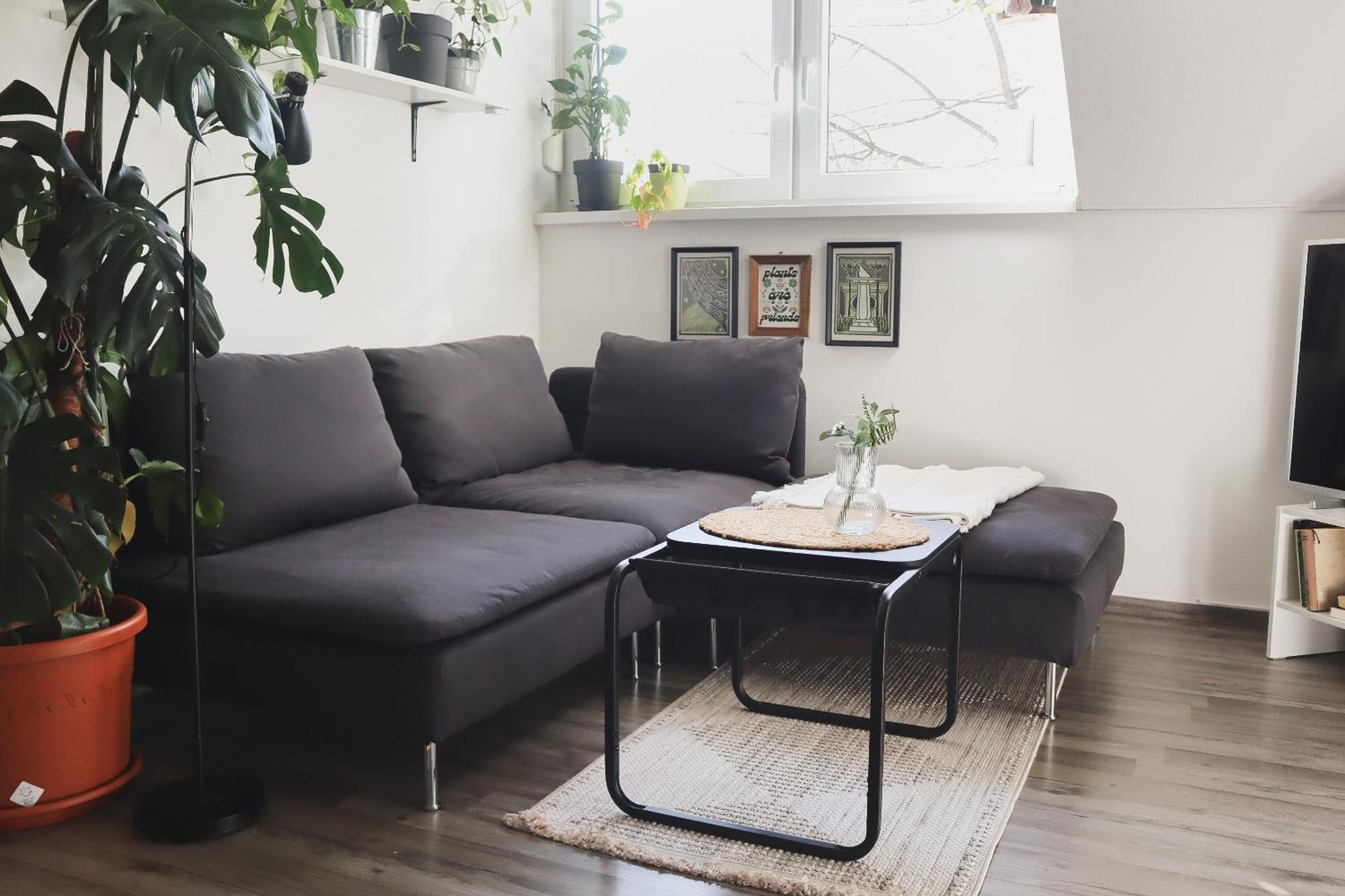 Apartment Urban Jungle - Free Parking