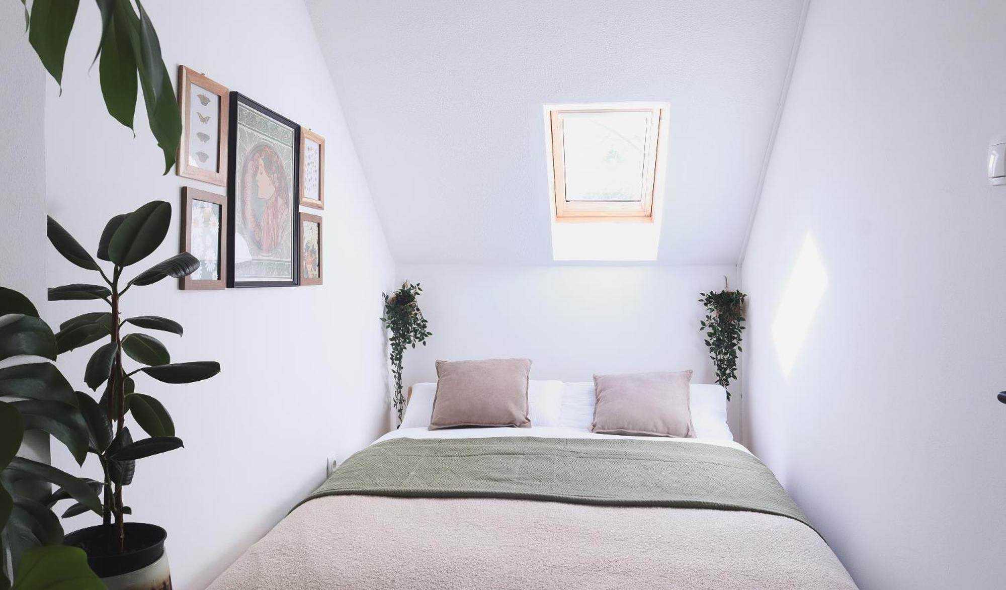Urban Jungle - Free Parking Apartment